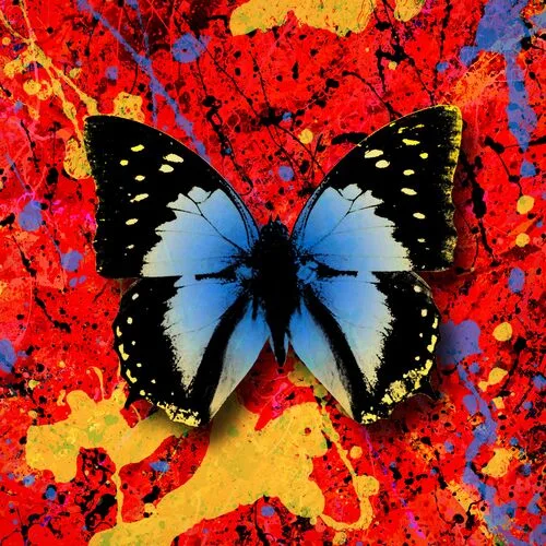 2step-feat-Antytila 2step-feat-Antytila