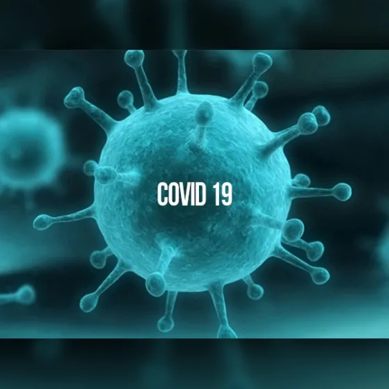 COVID 19. ПЕРЕНОС ТУРУ HELLO 2020